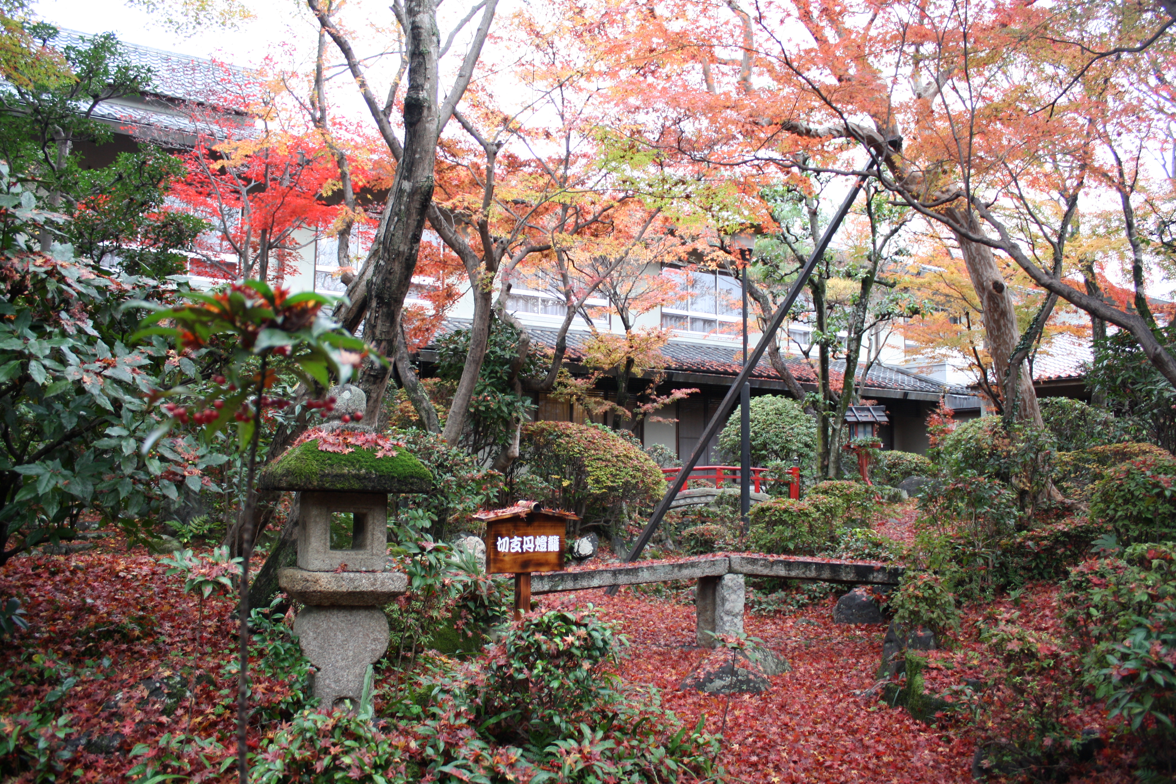 紅葉の絨毯 嵐山保養所 旅館 花のいえ