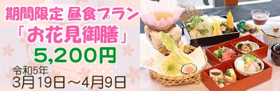 期間限定昼食プラン　お花見御膳